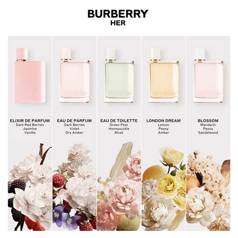 what does burberry elixir smell like|which burberry perfume smells sweet.